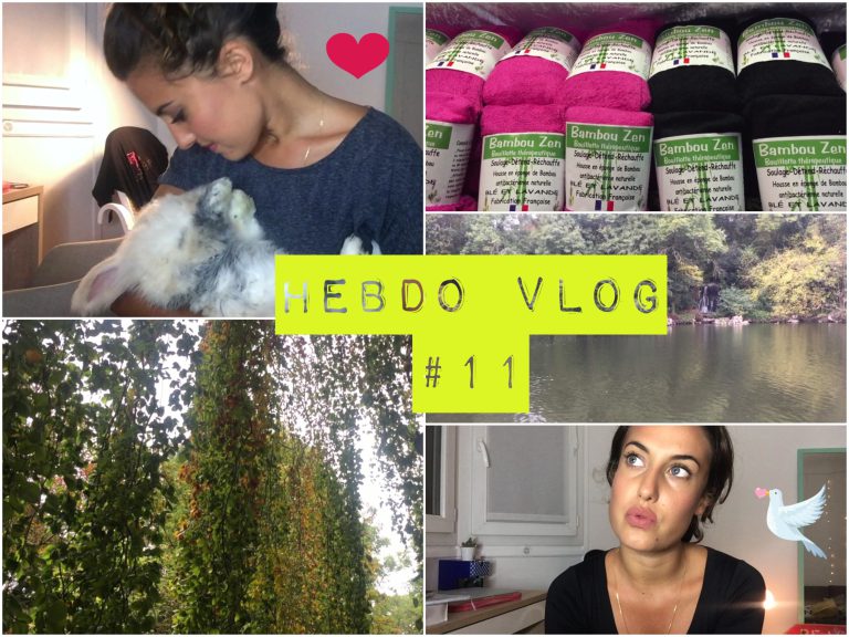 Lire la suite à propos de l’article Hebdo-vlog #11 : festival de yoga, beauté, lapin nain, restaurant végétarien, doutes et questionnements