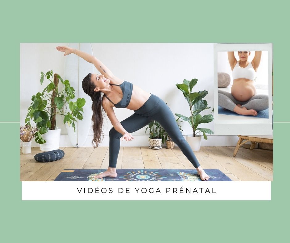 yoga prenatal vidéo cours gratuit